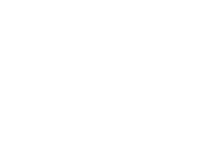 Mermaid & Guys